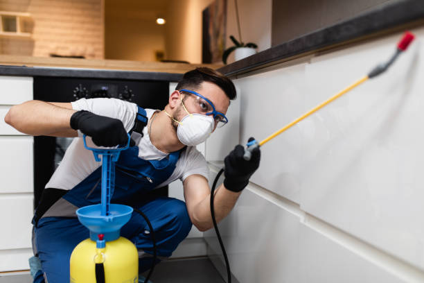 Pest Prevention Services in Ucon, ID
