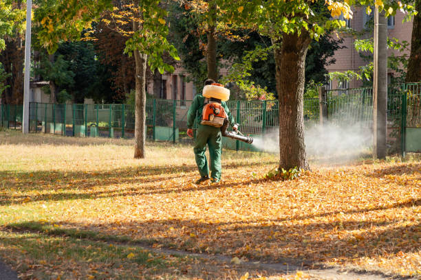 Best Pest Prevention Services  in Ucon, ID