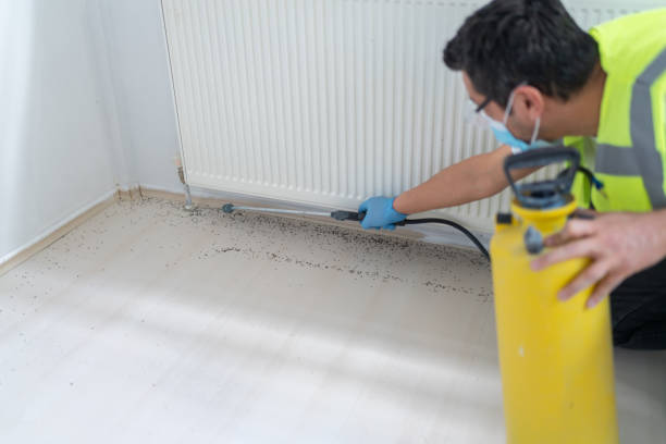 Best Mosquito Control Services  in Ucon, ID