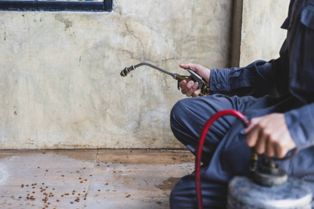Best Termite Control Services  in Ucon, ID
